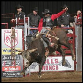 World's Toughest Bulls & Broncs