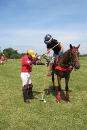 Quad Cities Polo Club Charity Event