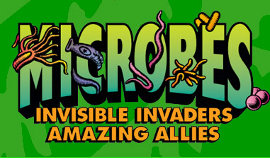 Microbes: Invisible Invaders, Amazing Allies