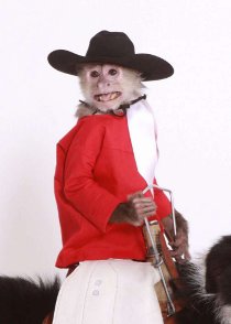 Whiplash the Cowboy Monkey