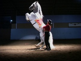 Gala of the Royal Horses