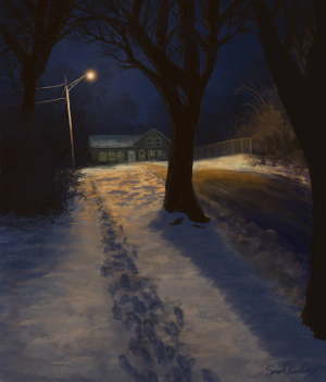 Sarah Frachey, Augustana College: Winter Night, Long Shadows