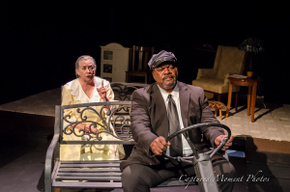 Rae Mary and Fred Harris Jr. in Driving Miss Daisy