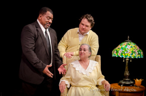 Fred Harris Jr., Rae Mary, and Jason Dlouhy in Driving Miss Daisy