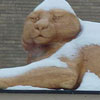 The lion statue at Davenport's Sudlow Intermediate School