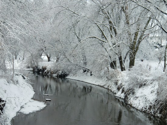 'Winter Day on Duck Creek,' by Ann DeSalvo
