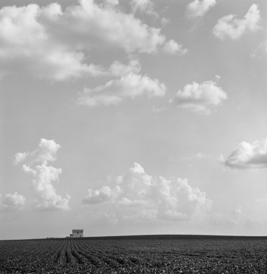 David Plowden, 'Bean Field & House, Grundy County, Iowa 2003'