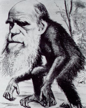Darwin's ape