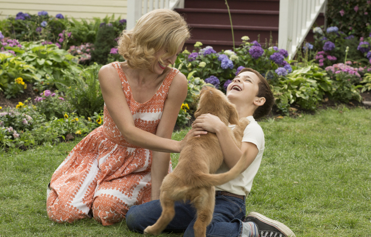 Juliet Rylance and Bryce Gheisar in A Dog's Purpose