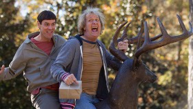 Jim Carrey and Jeff Daniels in Dumb & Dumber To