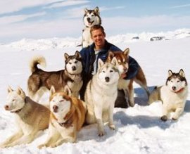 Paul Walker in Eight Below