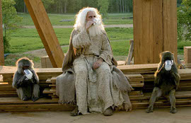 Steve Carell in Evan Almighty