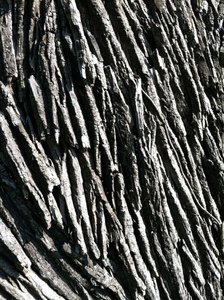 Detail of 'Exhaling Dissolution.' Photo by Bruce Walters.
