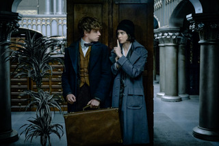 Eddie Redmayne and Katherine Waterston in Fantastic Beasts & Where to Find Them