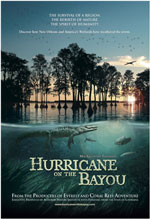 "Hurricane on the Bayou"