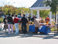 The Garden Harvest Festival