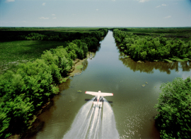 Hurricane on the Bayou