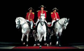 The Lipizzaner Stallions