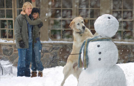 Owen Wilson and Jennifer Aniston in Marley & Me