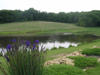 Our Lady of the Prairie pond