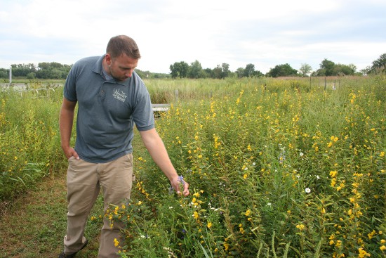 Executive Director Brian Ritter at Nahant Marsh.