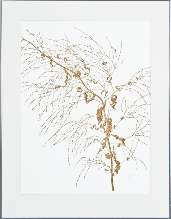 George Olson, 'Prairie Study: White Vervain'