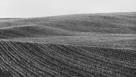 David Plowden, 'Poweshiek County, Iowa 1986'