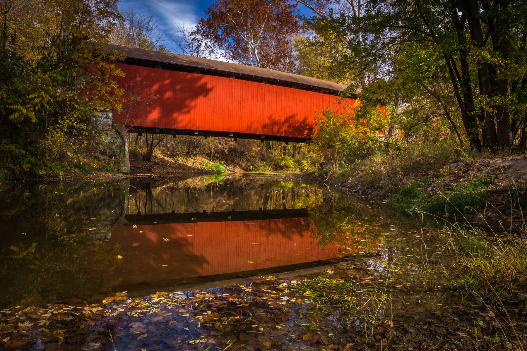 Red, First Place: Dale Fehr, Hampton.