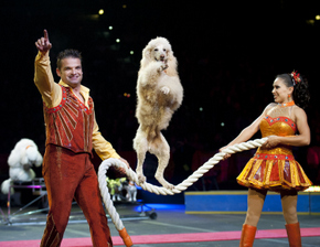 Ringling Bros. and Barnum & Bailey: Legends @ i wireless Center - September 4 through 7