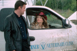 Matthew Perry and Elizabeth Hurley in Serving Sara