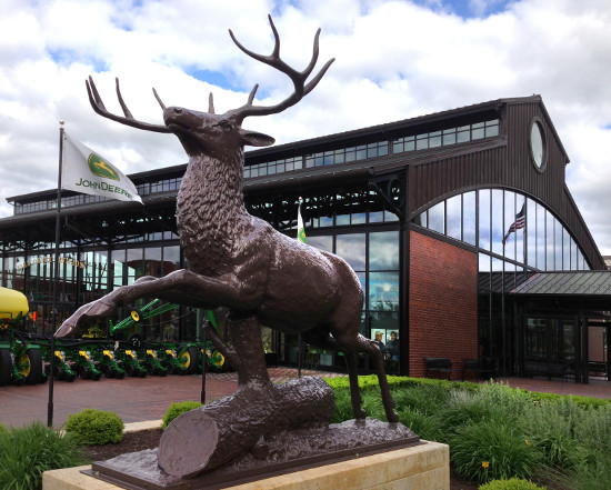 The stag near the John Deere Commons. Photo by Bruce Walters.