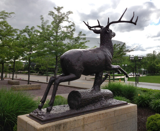 The stag near the John Deere Commons. Photo by Bruce Walters.