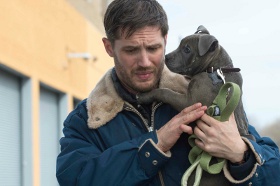 Tom Hardy in The Drop