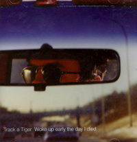 Track a Tiger