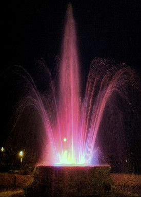 Vander Veer Botanical Park fountain. Photo by Bruce Walters.