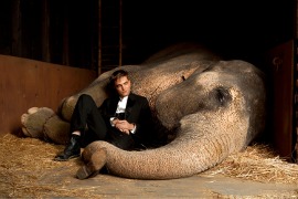 Robert Pattinson in Water for Elephants