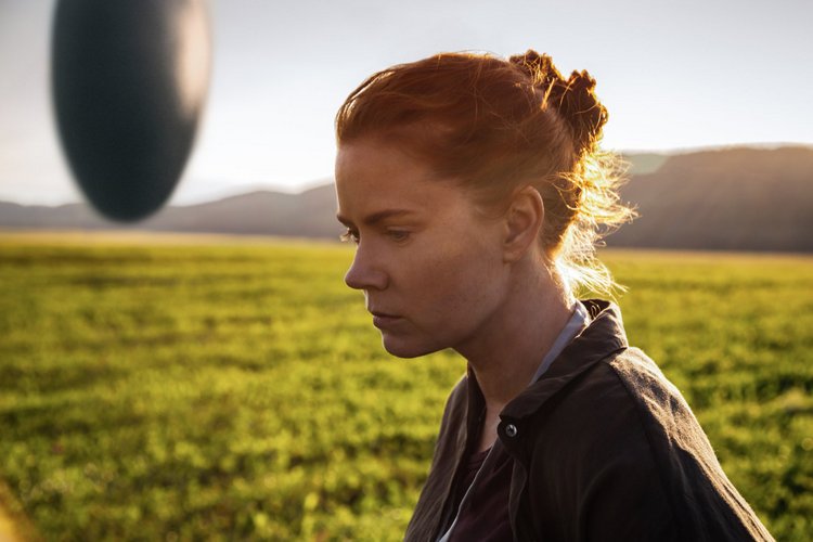 Amy Adams in Arrival