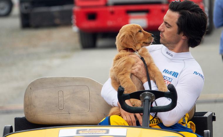 Milo Ventimiglia in The Art of Racing in the Rain