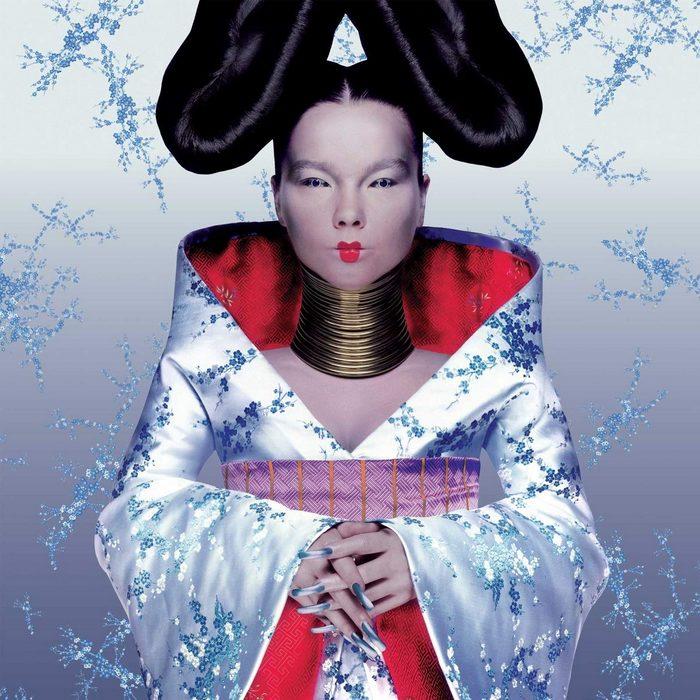 Björk, Homogenic