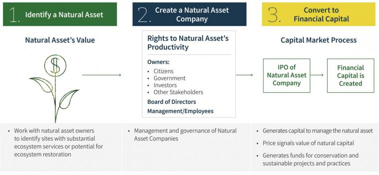 Creating a Natural Asset Company Flow Chart