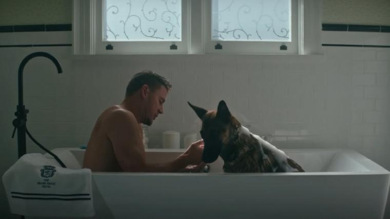 Channing Tatum and Lulu in Dog