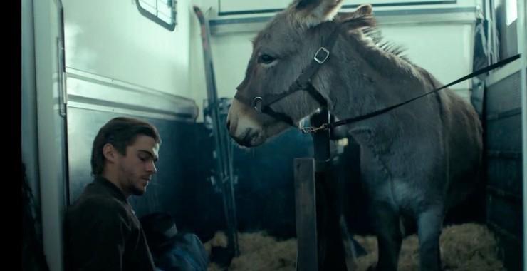 Lorenzo Zurzolo and one of the six donkeys who play EO in EO