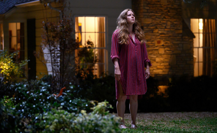 Amy Adams (a six-time Academy Award nominee) plays Mother in "Nightbitch," who is transformed into a dog at night (courtesy of IMDB.com).
