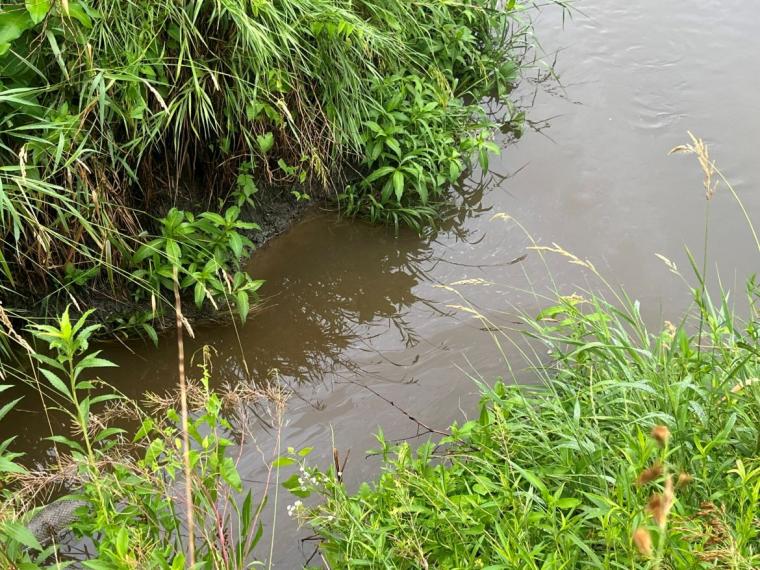 A slight sheen, indicative of petroleum, can be seen on the surface of the water