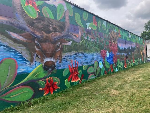 The Buckrop Chiropractic mural in downtown Milan (photo by Jonathan Turner).