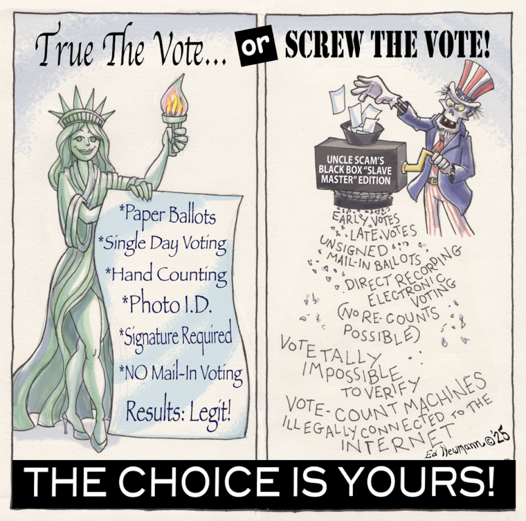 True the Vote or Screw the Vote It is Your Choice Cartoon by Ed Newmann copyright 2025 True the Vote or Screw the Vote It is Your Choice Cartoon by Ed Newmann copyright 2025