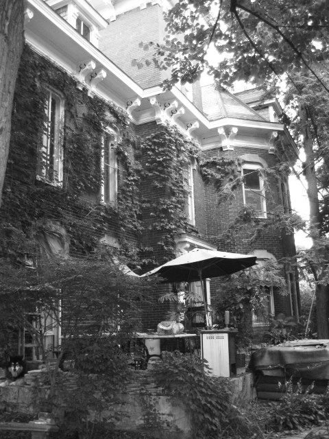 Keith Meyer's home at 1012 Marquette Street