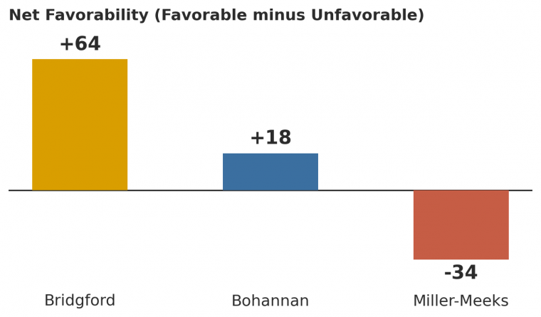Poll chart showing net favorability ratings for Iowa 1st District candidates