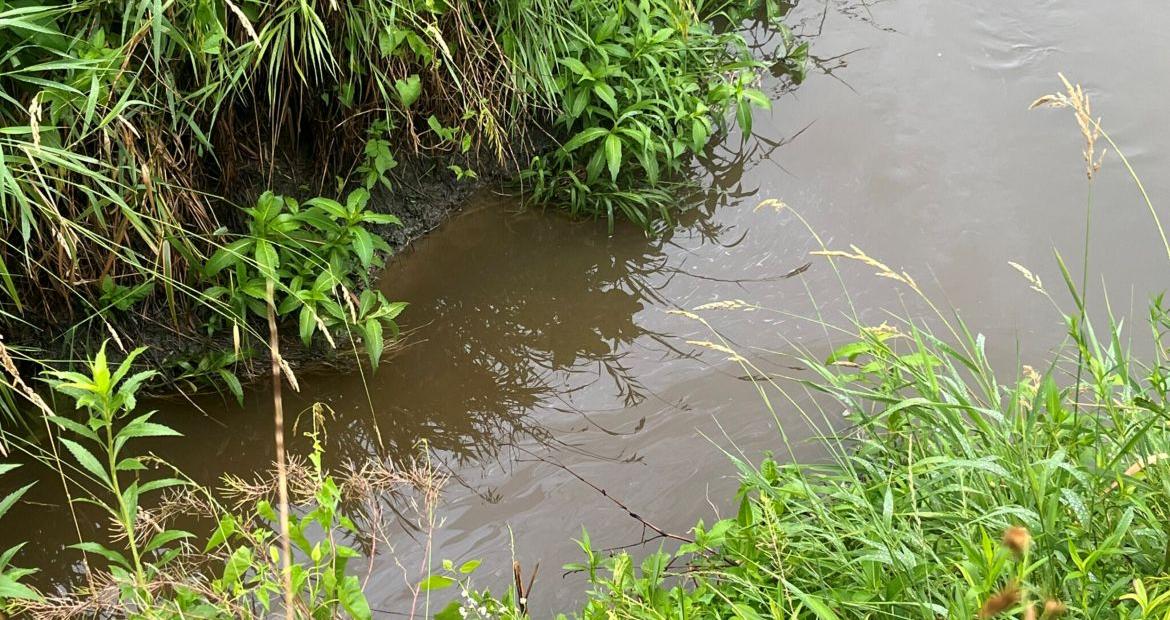  A slight sheen, indicative of petroleum, can be seen on the surface of the water